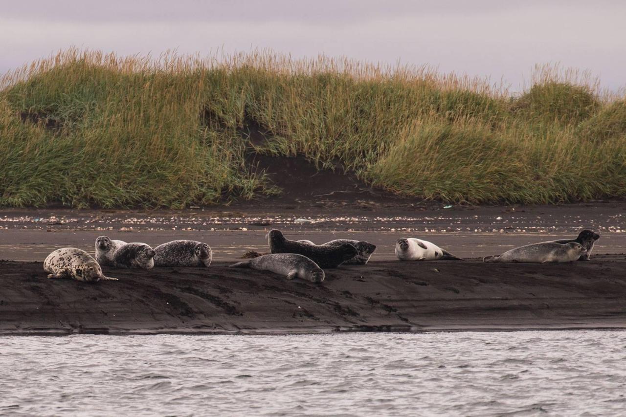 Sandur Þórshöfn 外观 照片